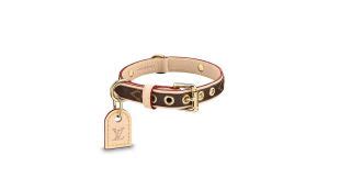 Les collections de Louis Vuitton : Collier pour chien XS.